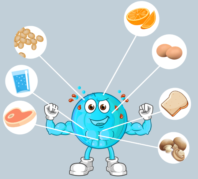 sngine_cd05ced8348be1186c14dc43cd3be1a4.png